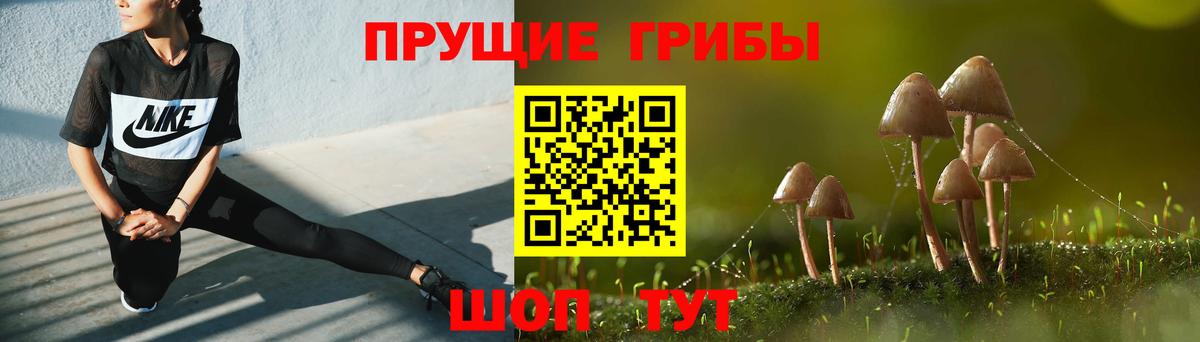 купить   Псилоцибиновые грибы MAGIC MUSHROOMS  Вход с VPN  Кубинка 